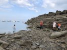 Biodiversité et pêche à pied