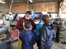 Visite de l'usine des huitres
